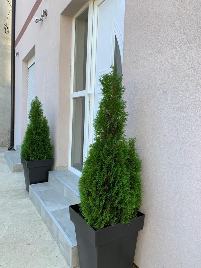 Apartman Spring Sombor Exterior foto